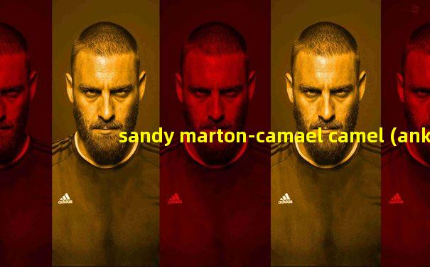 sandy marton-camael camel (ankha zone)埃及猫